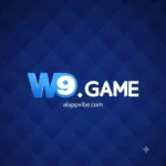 W9 Game