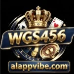 WGS456 Game
